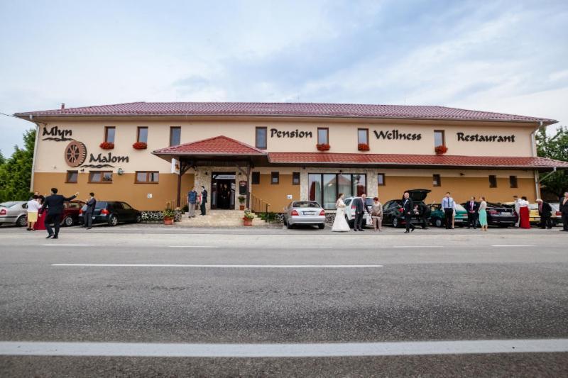 Mlyn Penzion & Wellness Radvan nad Dunajom Exterior photo